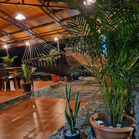 Cabinas Pura Vida B&B Tour Operator Drake Bay Zewnętrze zdjęcie