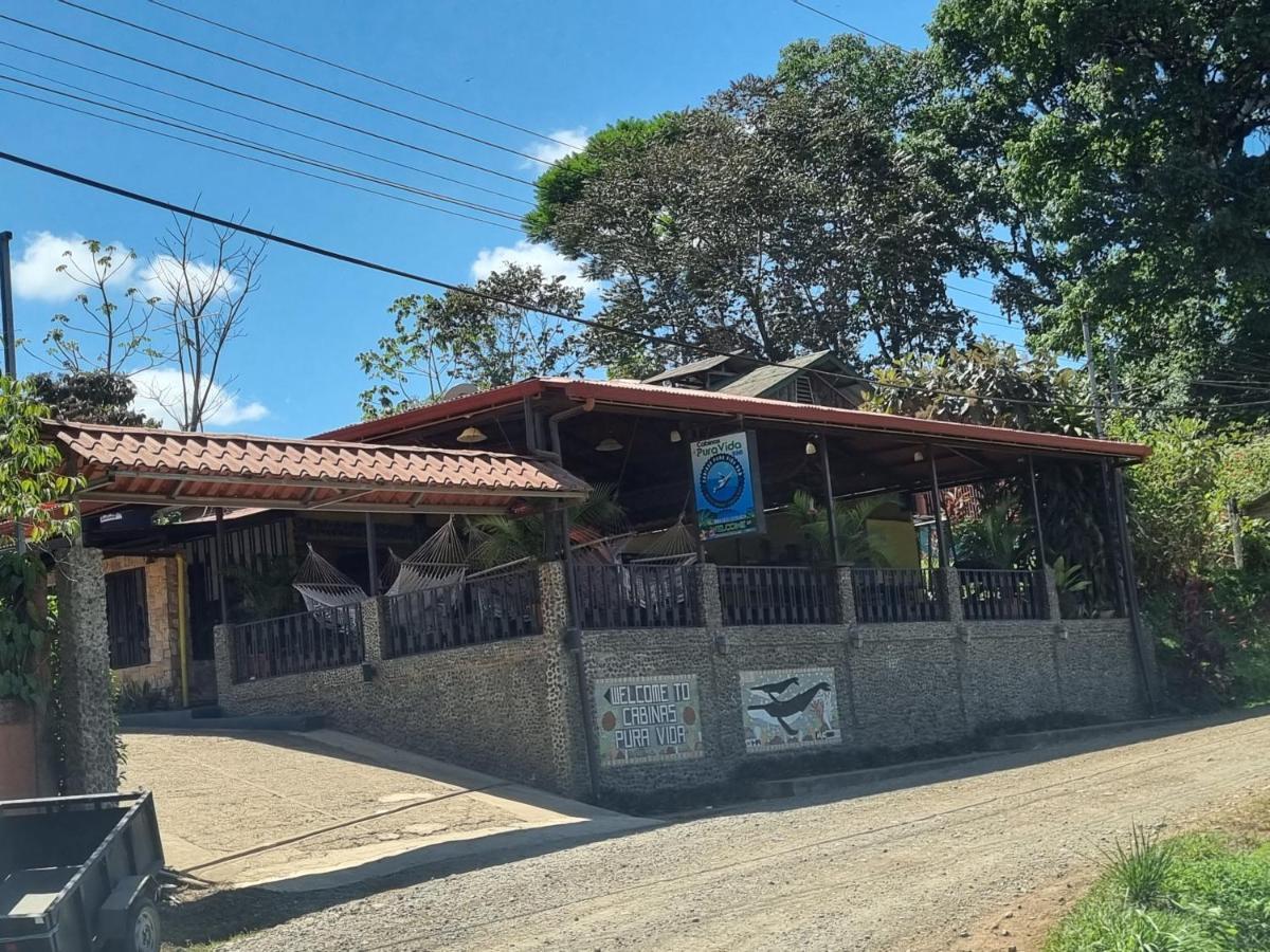 Cabinas Pura Vida B&B Tour Operator Drake Bay Zewnętrze zdjęcie