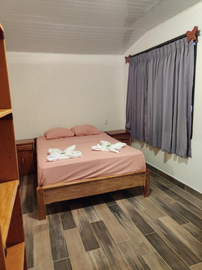 Cabinas Pura Vida B&B Tour Operator Drake Bay Zewnętrze zdjęcie
