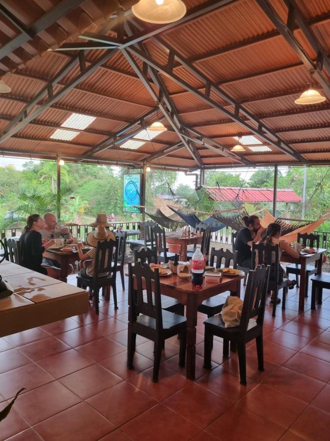 Cabinas Pura Vida B&B Tour Operator Drake Bay Zewnętrze zdjęcie