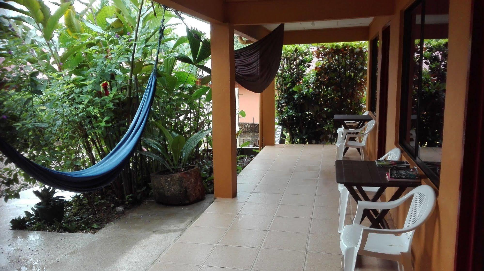 Cabinas Pura Vida B&B Tour Operator Drake Bay Zewnętrze zdjęcie