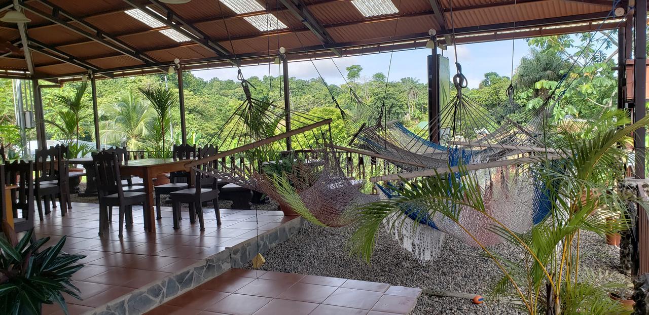 Cabinas Pura Vida B&B Tour Operator Drake Bay Zewnętrze zdjęcie