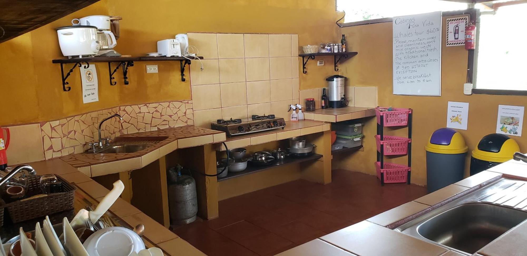Cabinas Pura Vida B&B Tour Operator Drake Bay Zewnętrze zdjęcie