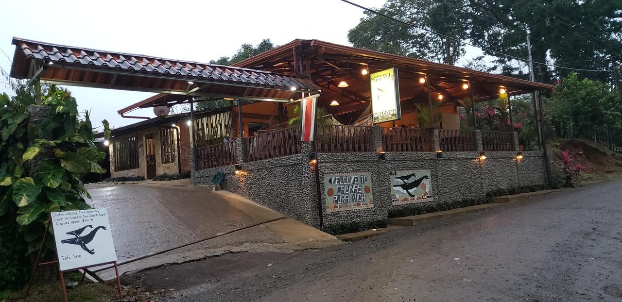 Cabinas Pura Vida B&B Tour Operator Drake Bay Zewnętrze zdjęcie